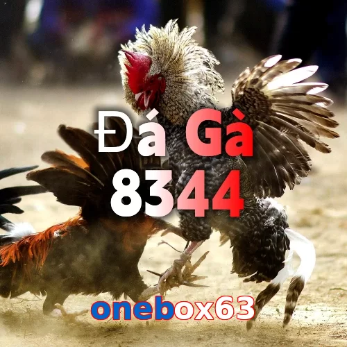 onebox63